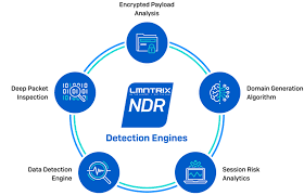 Detecting Anomalies in Network Traffic: The Power of Network Detection and Response